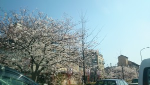 spring1