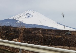 fujisan