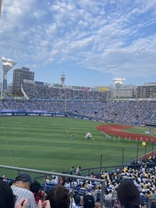 S__74375197_0